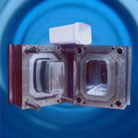 Plastic Injection Mold (2)